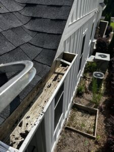 Gutter cleaning after