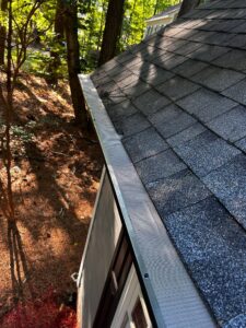 Gutter Guards Holly